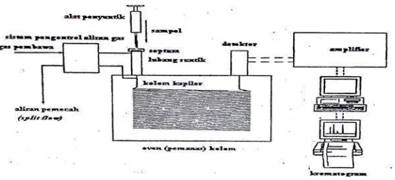 Gambar 2.6 Peralatan Kromatografi Gas 
