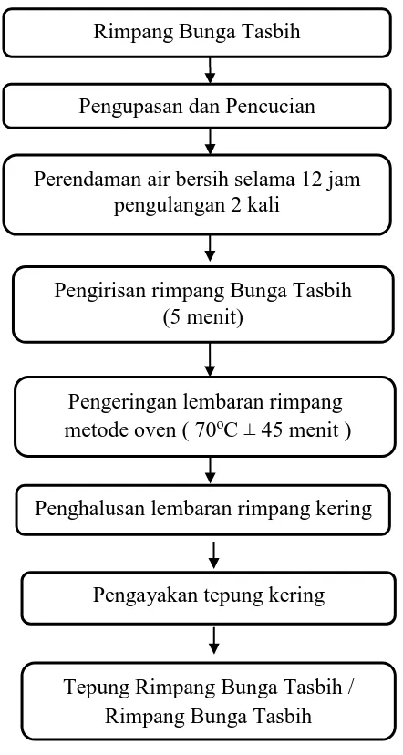Gambar 3.1 Alur Pembuatan Tepung Rimpang Bunga Tasbih Sumber : Pangesthi, (2009) termodifikasi