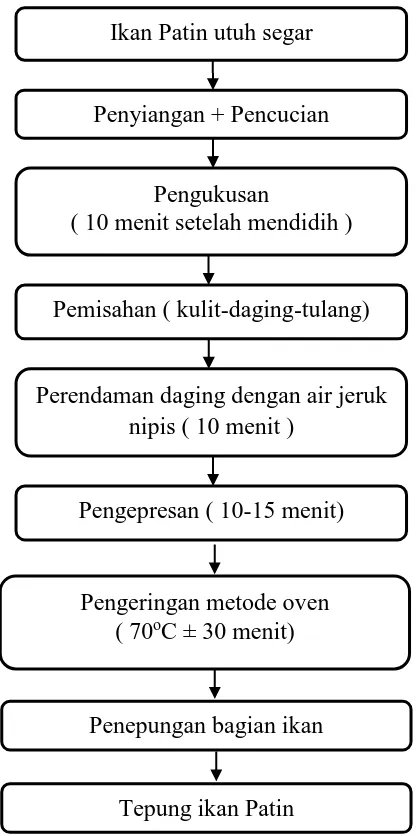 Gambar 3.2 Alur Pembuatan Tepung Ikan Patin (Pangansius hypopthalmus) Sumber : Soraya, (2010) termodifikasi