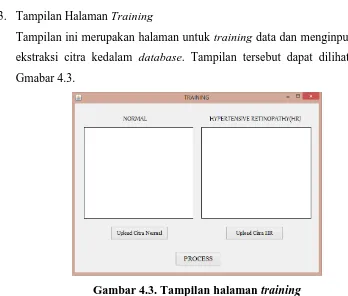 Tabel 4.1. Rangkuman data citra retina  