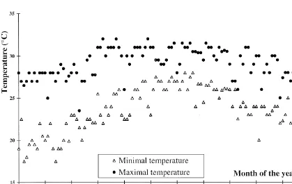 Fig. 1. Maximal and minimal ambient temperature (8C) recorded at the level of the animals under tropical climate