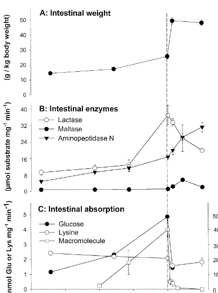 Fig. 2. Mean (6S.E.) values for some key intestinal functions infoetal and neonatal pigs
