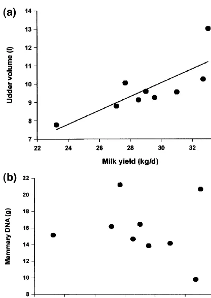 Fig. 1. Relationship between milk yield and udder volumemeasured using polyurethane foam casting (a) or mammary DNAcontent determined in biopsy samples (b) for nine peak lactationcows