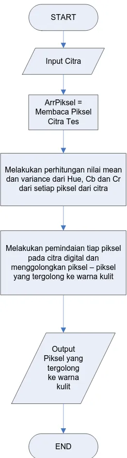 Gambar 3.7 Flowchart Proses Skin Color Detection 