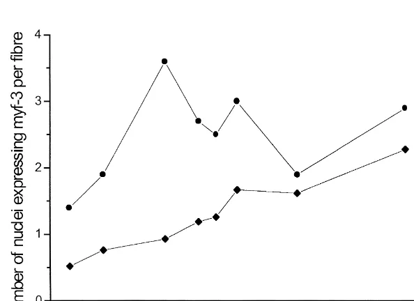 Fig. 3. The frequency of nuclei expressing myf-3 (j() and myogenin (d) in relation to (a) age of gestation (n 5 2) and (b) age after birthn 5 1)