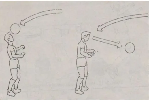 Gambar 4. Menyundul bola (Sucipto, 2000) 
