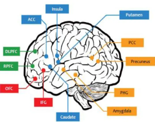 Gambar 2.1 Daerah otak yang berhubungan dengan internet addiction  2.1.5.  Pengukuran 