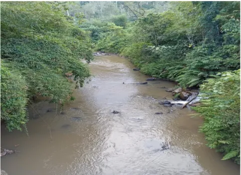 Gambar 1.5 sungai Dendan tempat melakukan penangkapan ikan  menggunakan alat setrum 