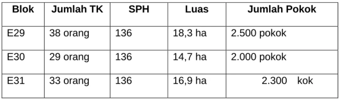 Tabel 2. Penggunaan pupuk rock phosphate di divisi 3  Blok  Jumlah TK  SPH  Luas  Jumlah Pokok  E29  38 orang  136  18,3 ha  2.500 pokok  E30  29 orang  136  14,7 ha  2.000 pokok 