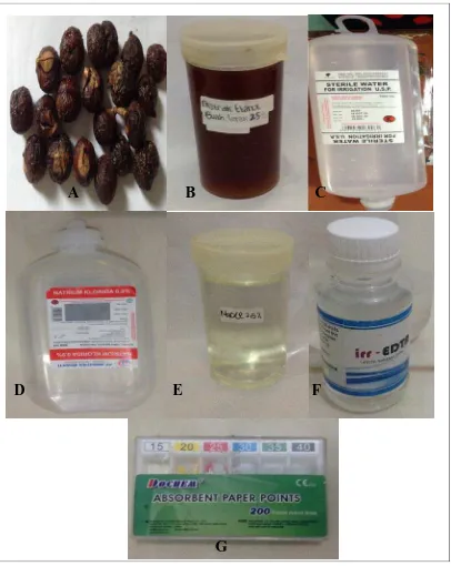 Gambar 18. A. Buah lerak (Kec. Sukoharjo, Solo, Jawa Tengah)  B. Ekstrak  etanol                       buah   lerak   25%    C