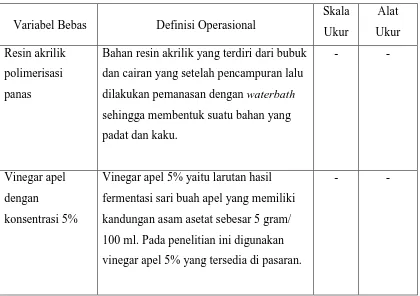 Tabel 2.  Definisi Operasional Variabel Bebas 
