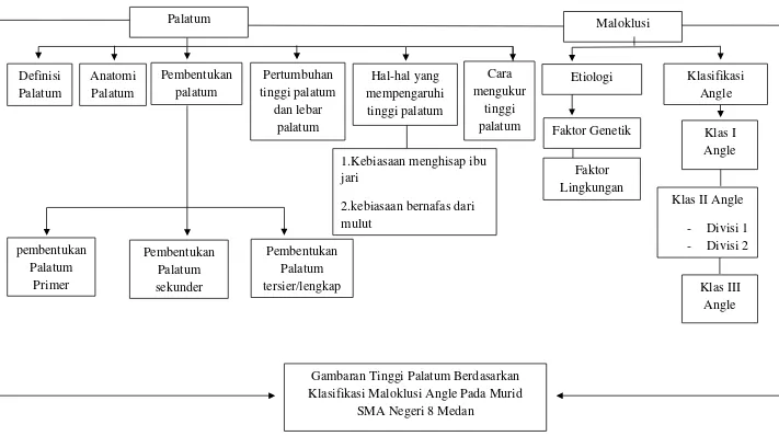 Gambaran Tinggi Palatum Berdasarkan 