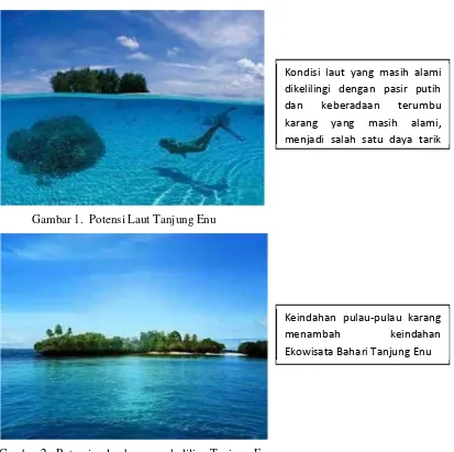 Gambar 2.  Potensi pulau karang sekeliling Tanjung Enu