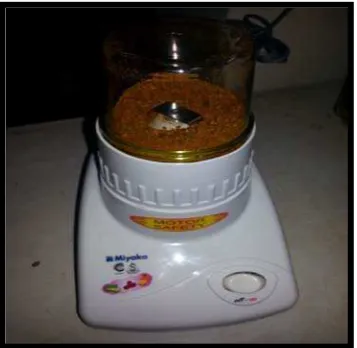 Gambar 5. Kunyit diblender sampai         menjadi serbuk.  