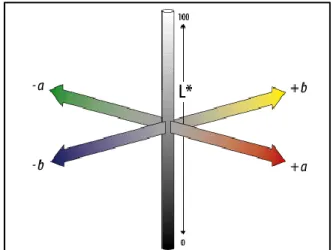 Figure  1:  Visual  representation  of  CIELab  coordinates 2