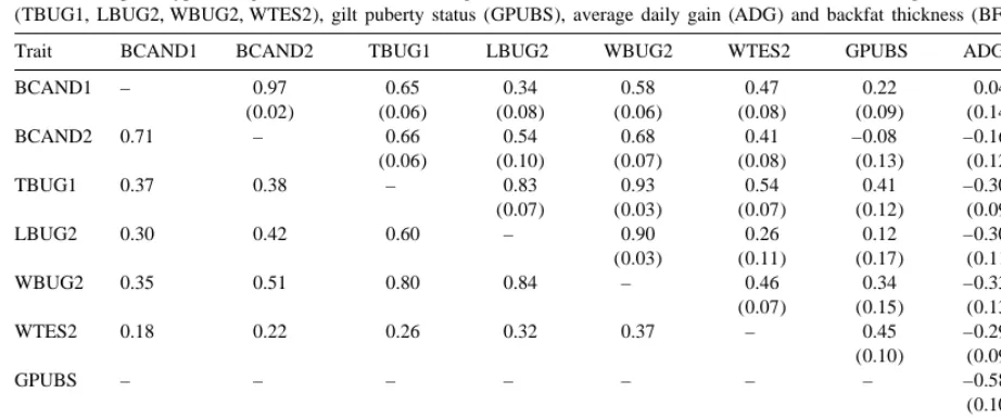 Table 6Estimates of phenotypic and genetic correlations among fat androstenone levels (BCAND1, BCAND2), male genital tract measurements
