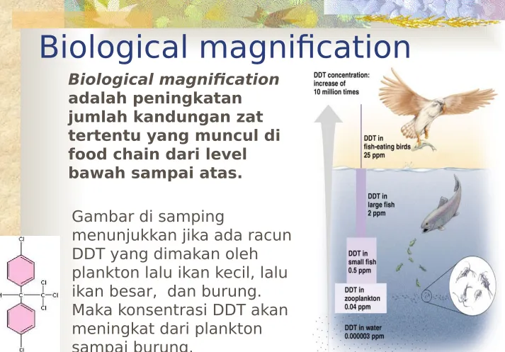Gambar di samping 