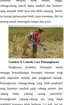 Gambar 9. Contoh Cara Pemangkasan