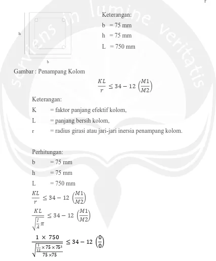 Gambar : Penampang Kolom 