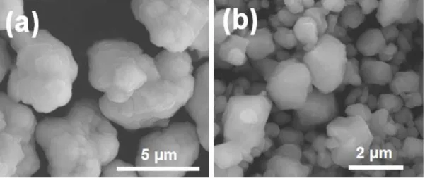 Figure 12. SEM images of the (a) commercial and (b) colloid-synthesized  ZnS powders after heat treatment at 1000 ℃ for 4 hours in flowing argon