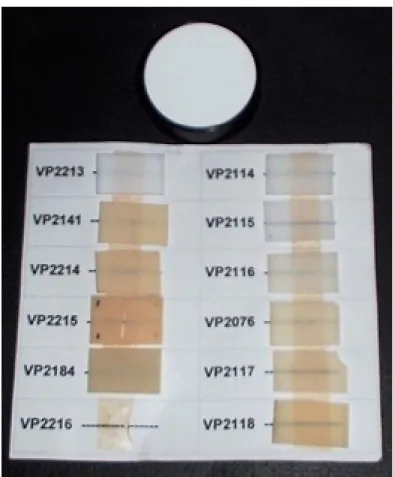 Figure IV.3. Photograph showing the variations in shades of the glass-ceramic samples in  comparison with the spectralon white standard