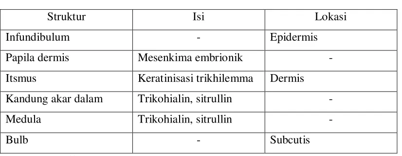 Tabel 2.1: Struktur Rambut 