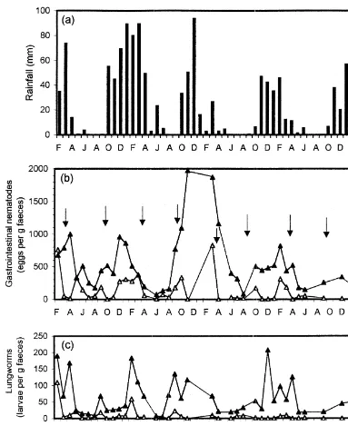 Fig. 1. Monthly rainfall (a) averaged across the four sites in north-west Syria, egg counts of gastro-intestinal nematodes (b), and larvalcounts of lungworms (c) in faeces of untreated (solid symbols) and treated (open symbols) ewes in 10 farm ﬂocks over f
