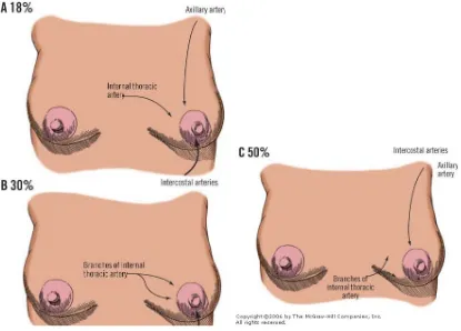 Gambar 1.3.A. Pada 18% individu, payudara diperdarahi oleh arteri internal thoracic, axillary, dan intercostals