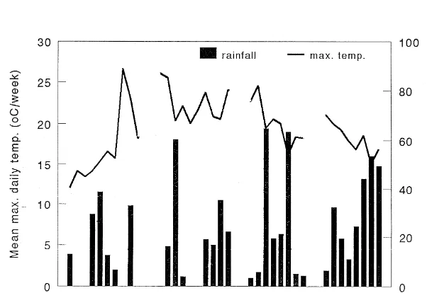 Fig. 1. Mean maximum daily temperature in 8C per week and the accumulative amount of rainfall per week during the experiments.