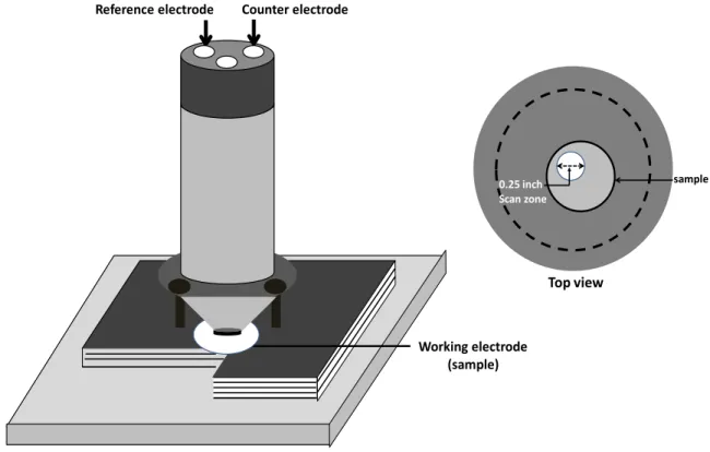 Figure 1. Schematic diagram of custom PTFE electrochemical cell for the disk shaped samples