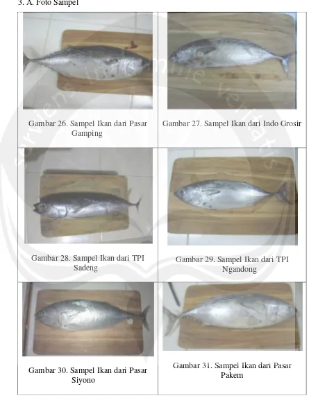 Gambar 26. Sampel Ikan dari Pasar
