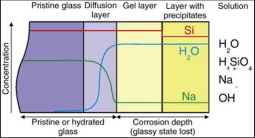 Figure I.2 Schematic drawing of the surface region of an altered glass. Courtesy of  Geisler et