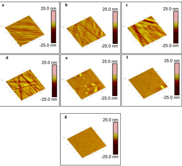 Figure II.2 3-D surface topography of ISG glasses; (a) micro cloth polished, (b) micro  cloth polished &amp; etched, (c) trident cloth polished, (d) trident cloth polished &amp; etched, (e)  675  o C melt process, (f) 700  o C melt process and (g) 725  o C