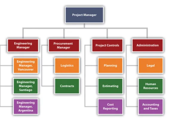 Figure 3.5 Organization for Major International Project