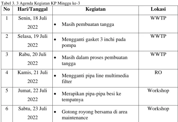 Tabel 3. 3 Agenda Kegiatan KP Minggu ke-3 