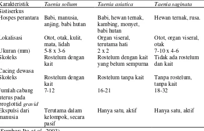 Tabel 2.3 Perbedaan Morfologi Spesies Taenia sp. 