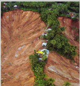 Fig. 1. Gunung Tigo landslide