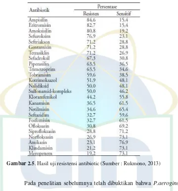 Gambar 2.5. Hasil uji resistensi antibiotic (Sumber : Rukmono, 2013) 