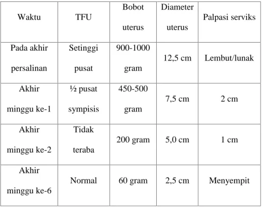 Tabel 2.4 Perubahan Normal Pada Uterus Selama Postpartum