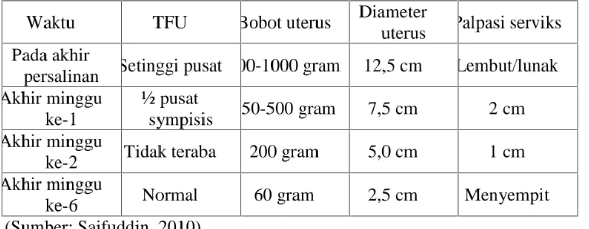 Tabel 1.4 Perubahan Normal Pada Uterus Selama Postpartum