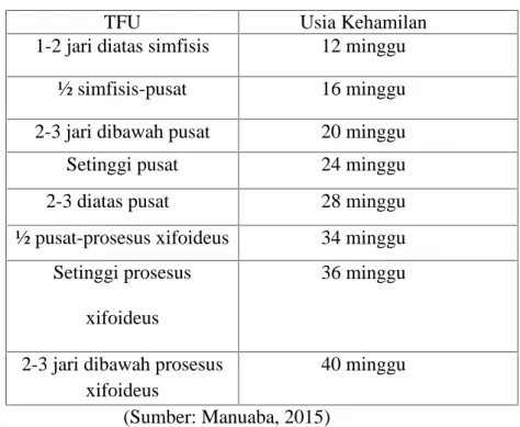 Tabel 2.4 Usia Kehamilan Berdasarkan TFU Dalam Bentuk (cm)