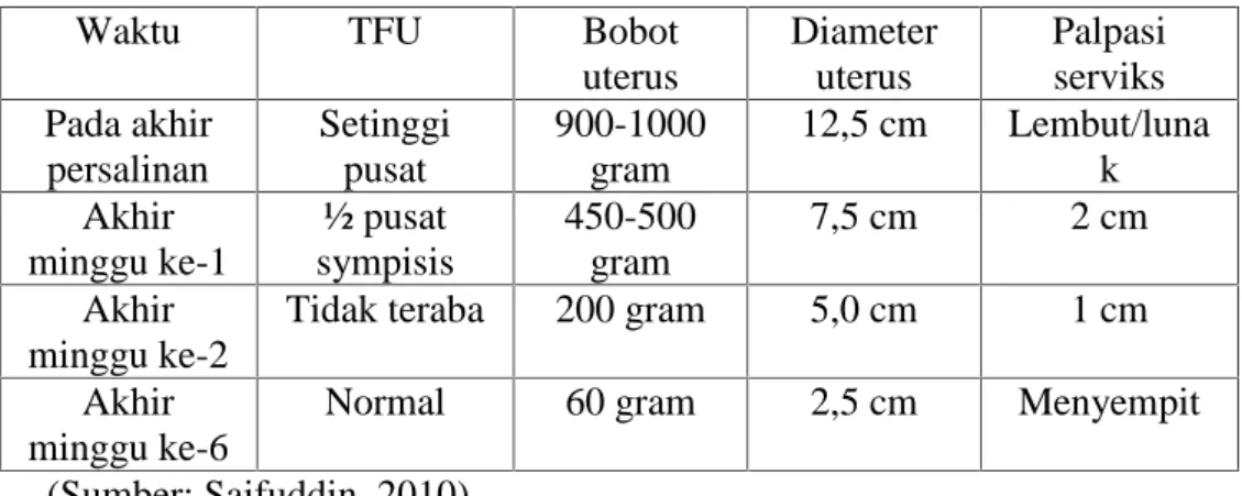 Tabel 2.5 Perubahan Normal Pada UterusSelamaPostpartum