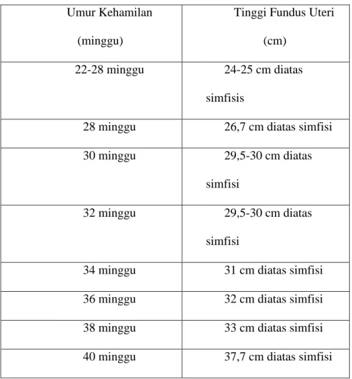 Tabel 2.1 Tinggi Fundus Uteri (dalam cm)  Umur Kehamilan 