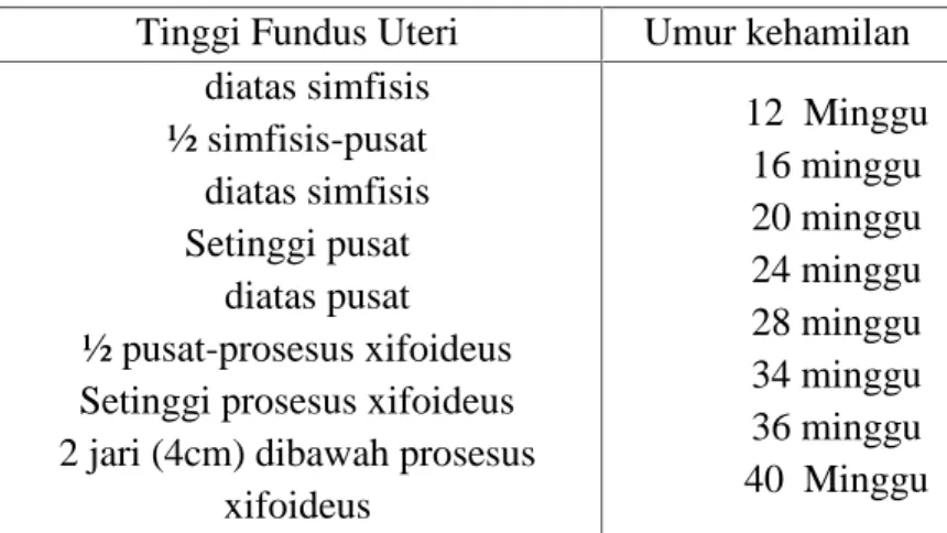 Tabel 2.1 Umur kehamilan berdasarkan tinggi fundus uteri