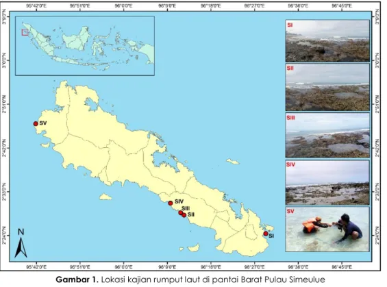 Gambar 1. Lokasi kajian rumput laut di pantai Barat Pulau Simeulue 