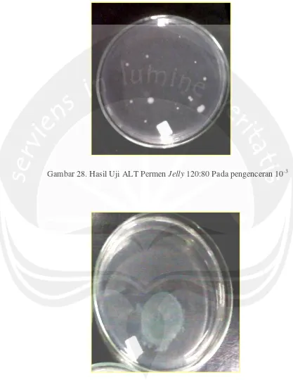 Gambar 28. Hasil Uji ALT Permen Jelly 120:80 Pada pengenceran 10-3