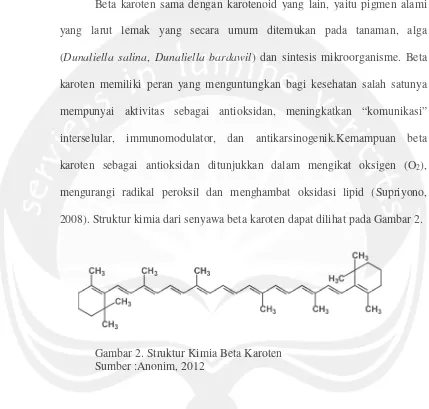 Gambar 2. Struktur Kimia Beta Karoten
