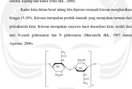 Gambar 3. Struktur Molekul Kitin (Sumber : Sarjono dkk., 2008) 