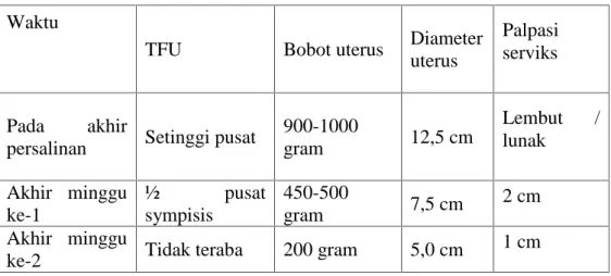 Tabel 2.4 Perubahan Normal Pada Uterus Selama Postpartum Waktu