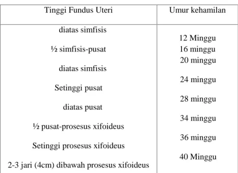 Tabel 2.1 Umur kehamilan berdasarkan tinggi fundus uteri
